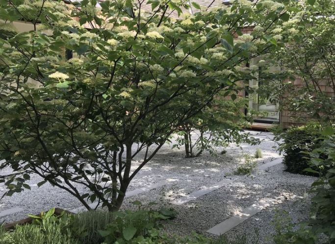 青岛庭院设计