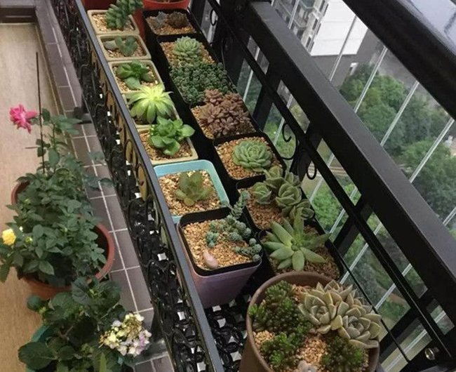 其实青岛花园设计小编认为几平米的空间并不能把居住面积扩大几分