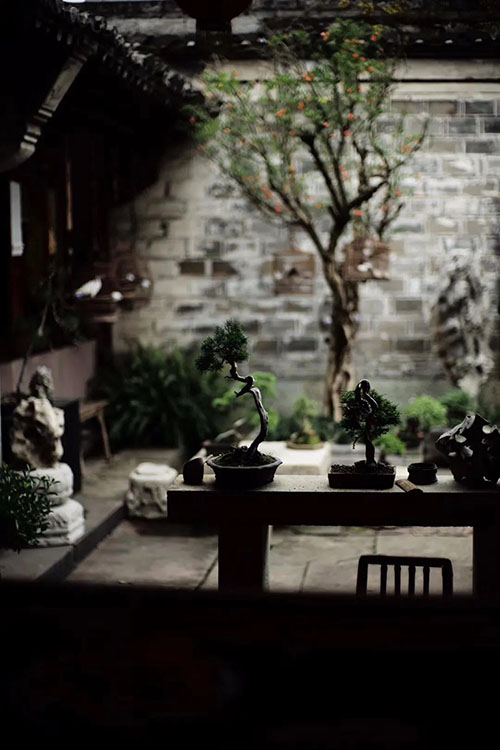 中式庭院，这是*让我们心动的院子