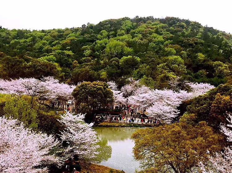 青岛屋顶花园设计
